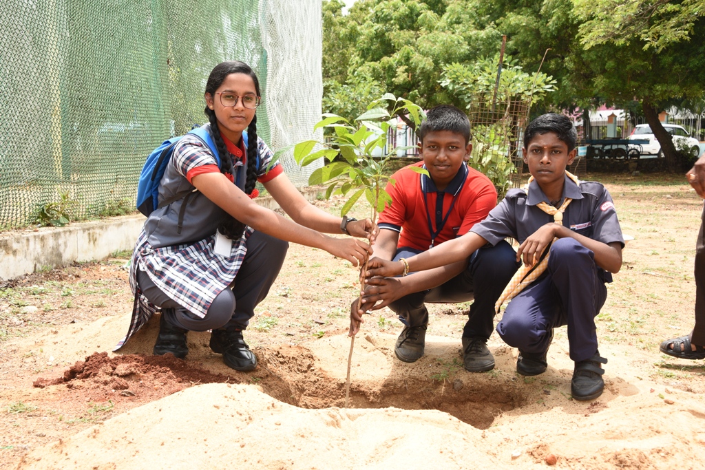 Anu Awarness Programme
