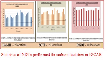 sodiumfacility