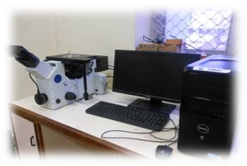 qad technology
